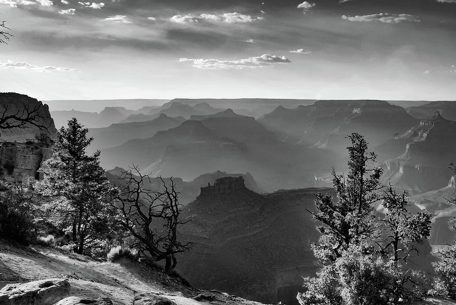 Black And White Photograph - Layers of Grand Canyon - Monochrome by Gregory Ballos