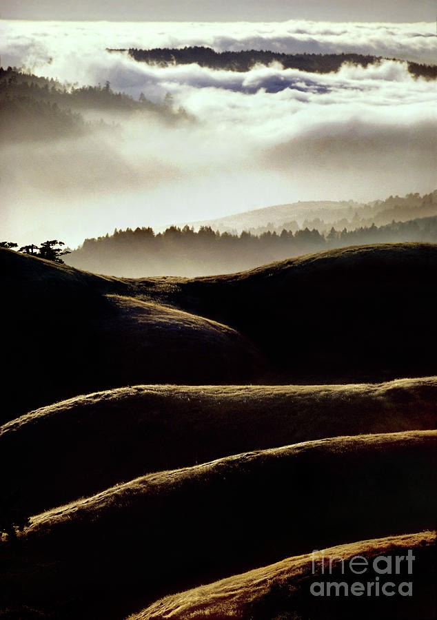 Layers of Hills and Fog on Mt. Tamalpais, California Photograph by Wernher Krutein