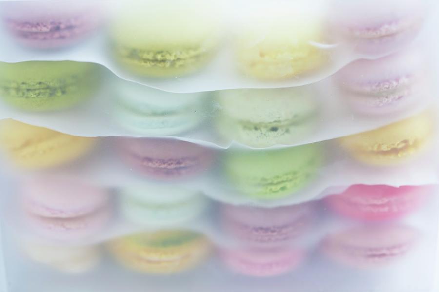 Layers Of Macaroons Separated By Sheets Of Paper In A Plastic Box Photograph by Martina Schindler