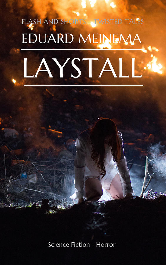 Laystall Mixed Media by Eduard Meinema