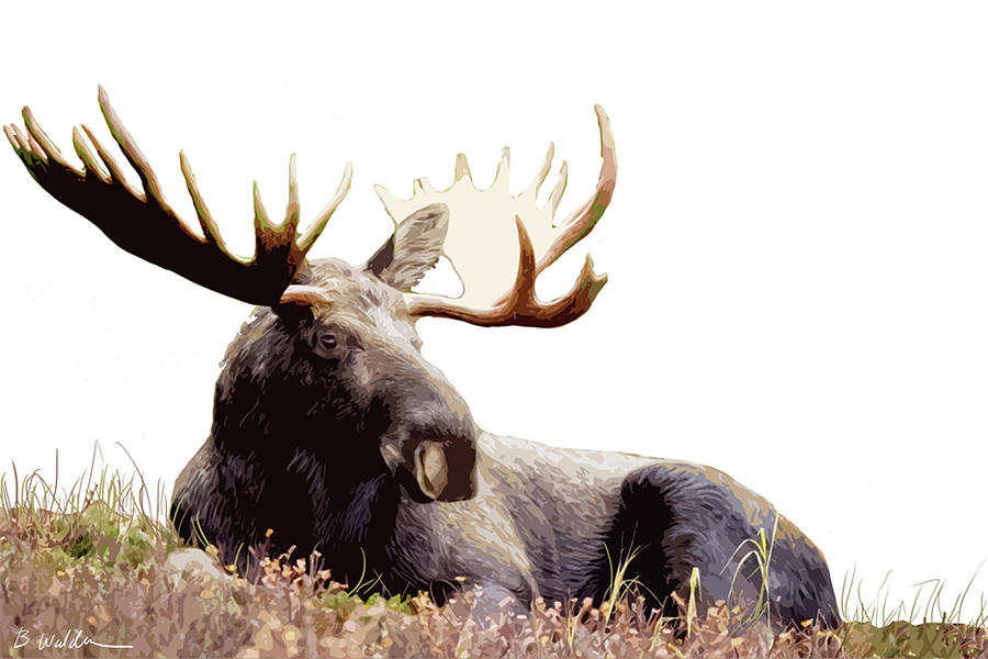Moose Painting - Lazy Days by Boughton Walden