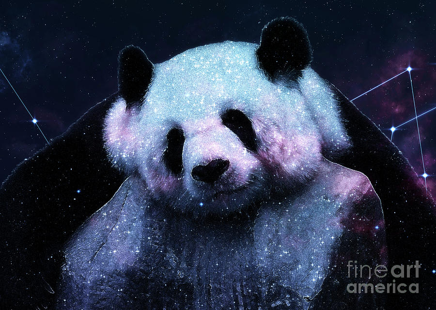 Unduh 440 Koleksi Gambar Galaxy Panda Keren HD
