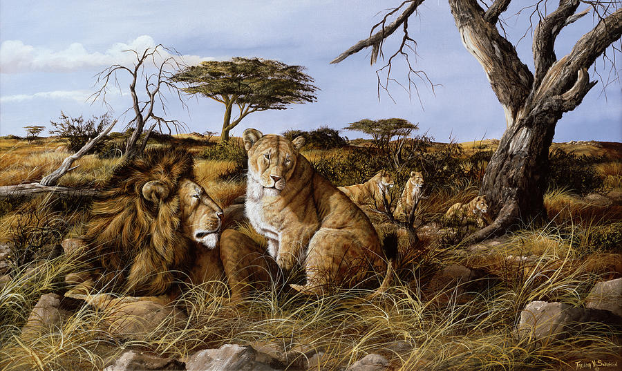 Lion Painting - Lazy In The Grass by Trevor V. Swanson