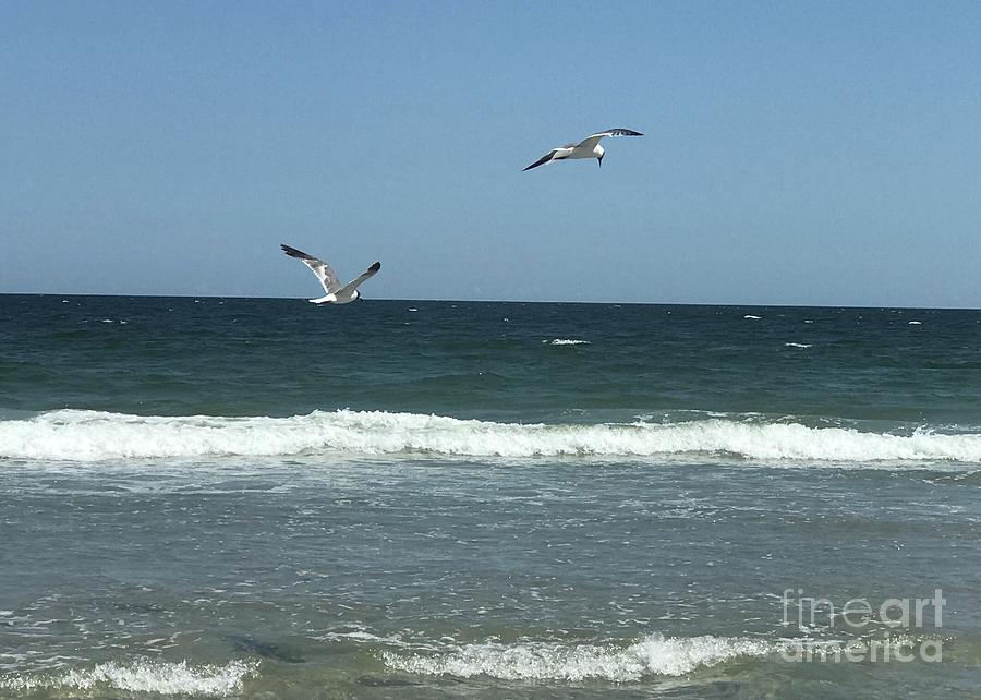 LBI New Jersey Photograph by Christy Gendalia - Pixels