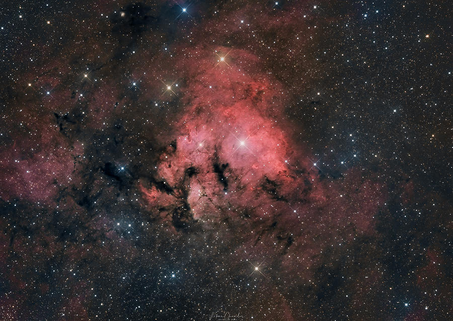 Ldn 1272 Dark Nebula Photograph By Vikas Chander | Fine Art America