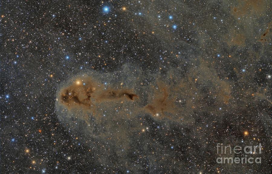 Ldn1251 Dark Nebula In Cepheus Photograph by Leo Shatz/science Photo Library