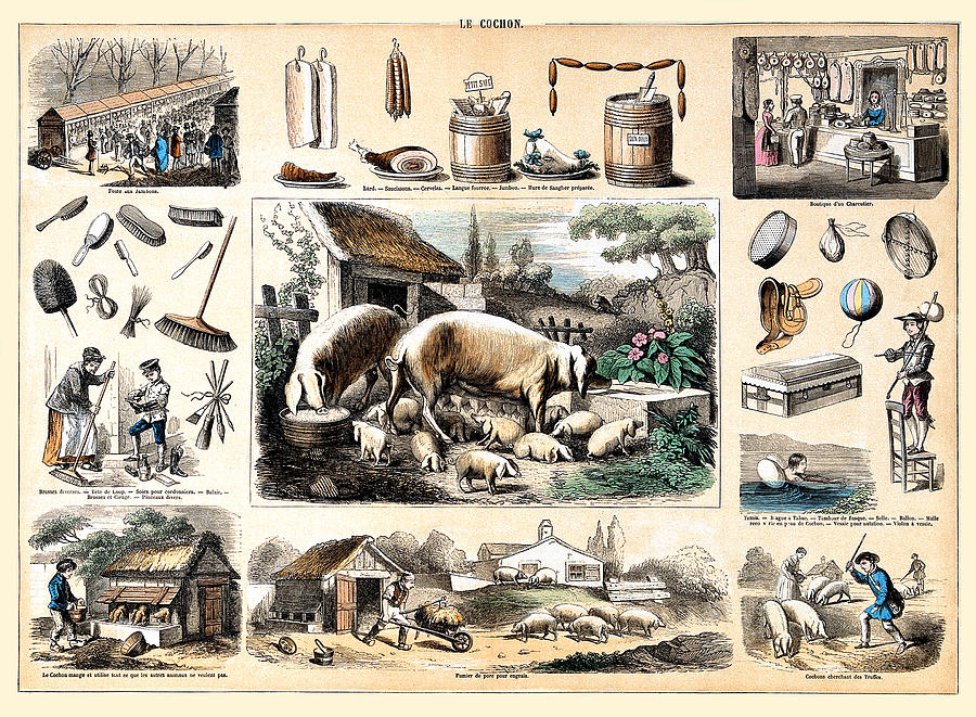 Le Cochon and Products Painting by Jean-Franois Badoureau