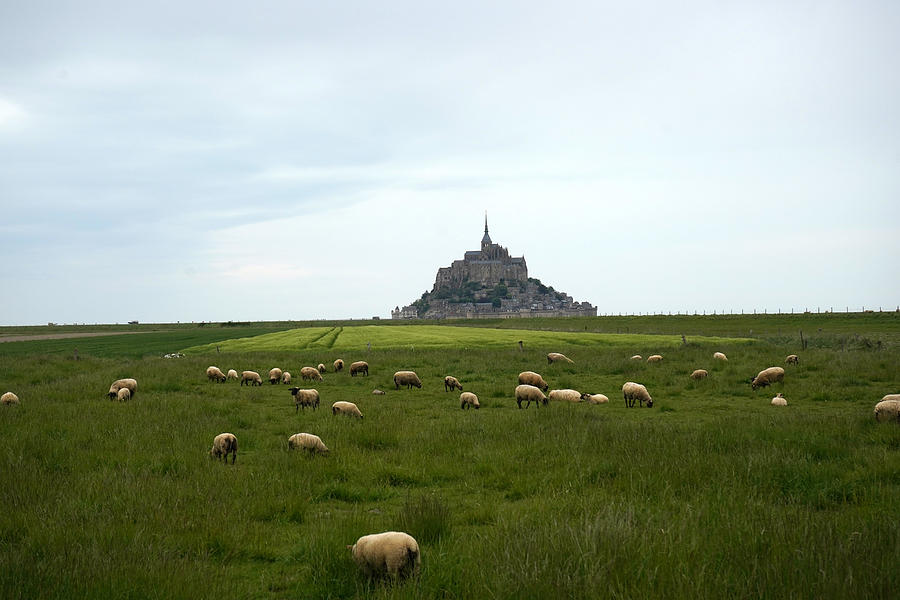Le Mont Saint Michel 2 Photograph by Andrew Fare