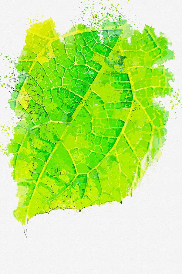 Leaf close up -  watercolor by Ahmet Asar Painting by Celestial Images