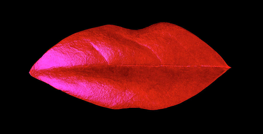 Leaf lips Photograph by Garry Gay