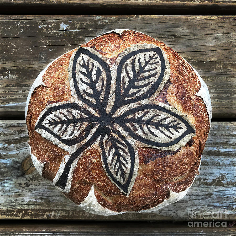 Leaf Painted And Scored Sourdough 4 Photograph by Amy E Fraser