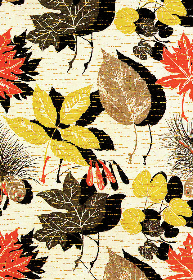 Fall Drawing - Leaf pattern by CSA Images