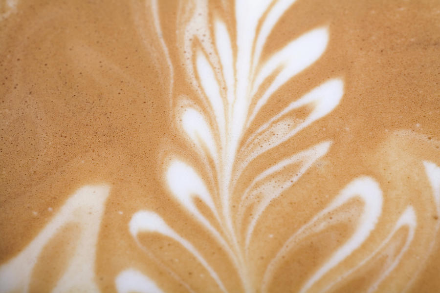 Leaf Pattern On A Latte Photograph by Stella