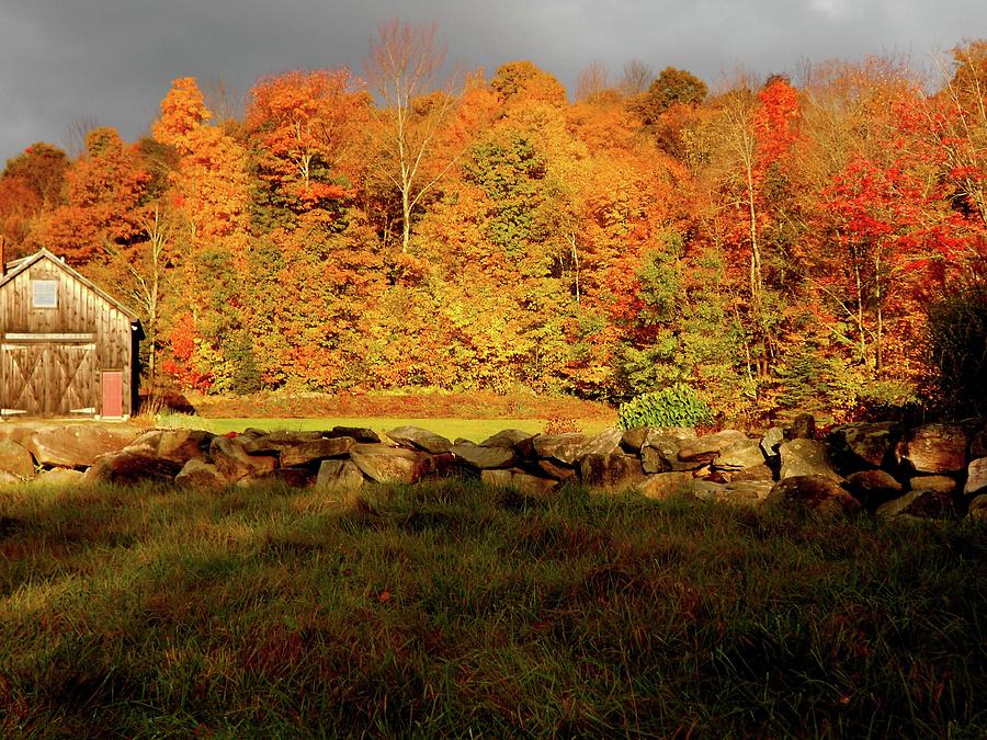 Leaf Peeper Season in Vermont Photograph by Linda Stern