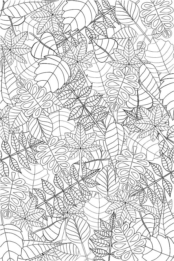 Coloring Books Mixed Media - Leaf Splash by Delyth Angharad