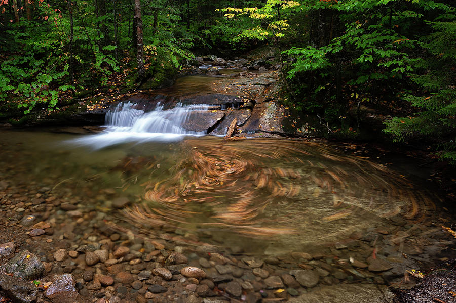Leaf Swirl at a Small Cascade in Franconia Notch State Park II Photograph by William Dickman