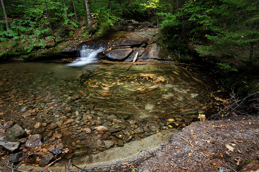 Fall Photograph - Leaf Swirl at a Small Cascade in Franconia Notch State Park by William Dickman