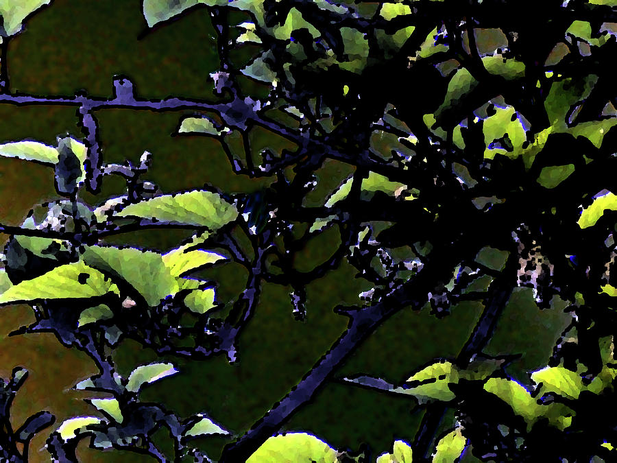 Leafy 2 Digital Art by Eric Forster