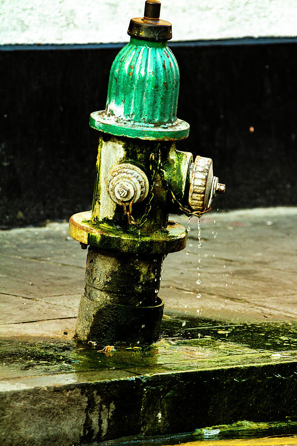 Leaky fire hydrant Photograph by Jason Hughes