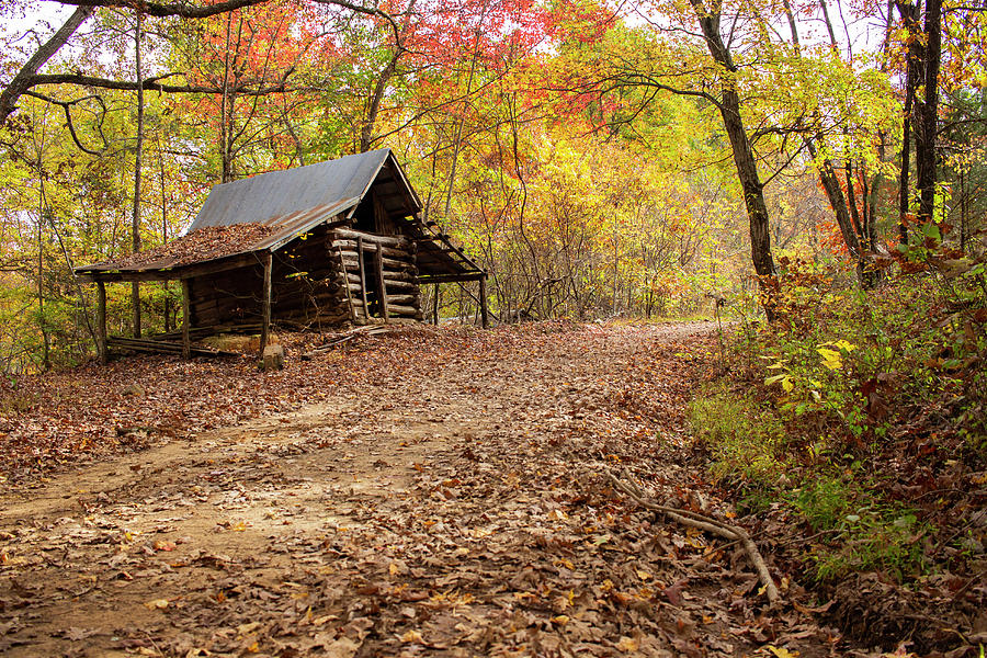 Fall Photograph - Leaning Log Cabin by Tammy Chesney