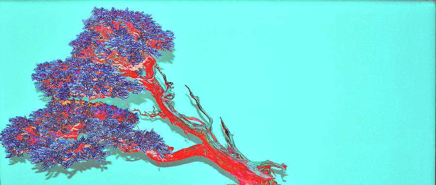 Bonsai Digital Art - Leaning Red Bonsai Tree by Tom Kelly Bonsai Digital Art - Leaning Red Bonsai Tree by Tom Kelly