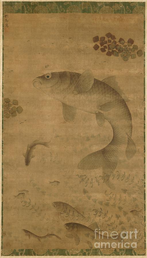 Leaping Carp Drawing by Heritage Images