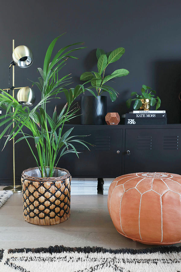Leather Pouffe, Potted Palm And Console Table Against Black Wall Photograph by Annette Nordstrom