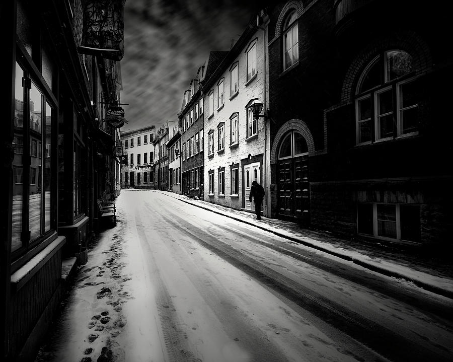 Winter Photograph - Leave by David Senechal Photographie
