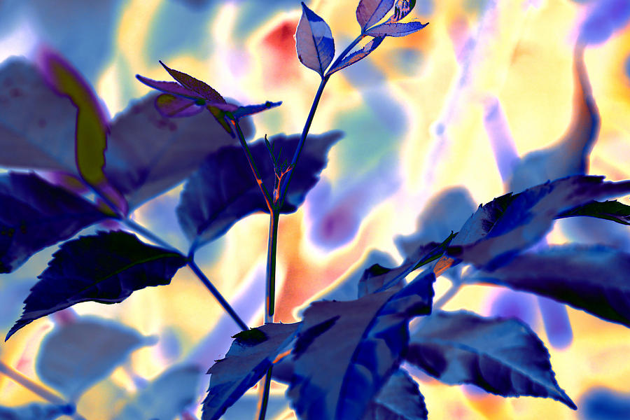 Leaves-1062 Blue by AJP Leaves-1062 Blue by AJP