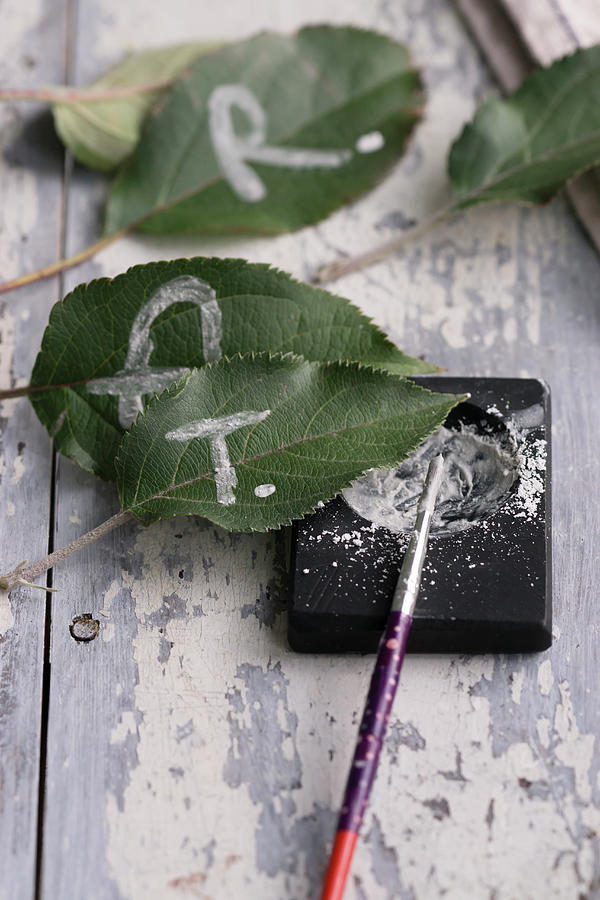 Leaves As Name Tags And Crumbled Chalk Photograph by Martina Schindler
