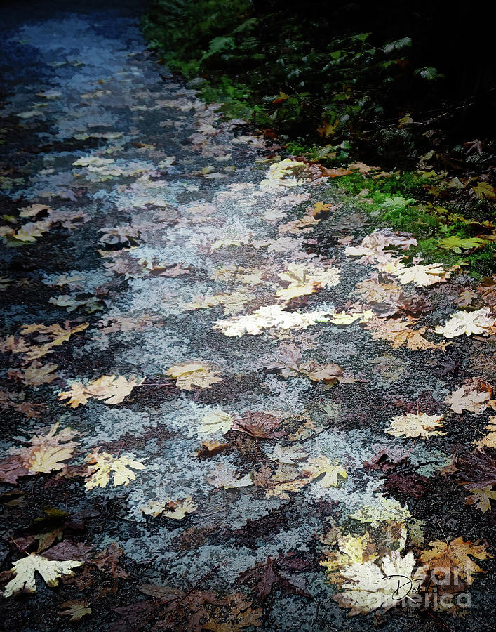 Leaves Beneath our Feet Digital Art by Deb Nakano