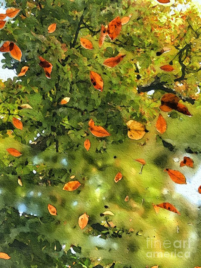 Leaves in Abstract Photograph by Diana Rajala