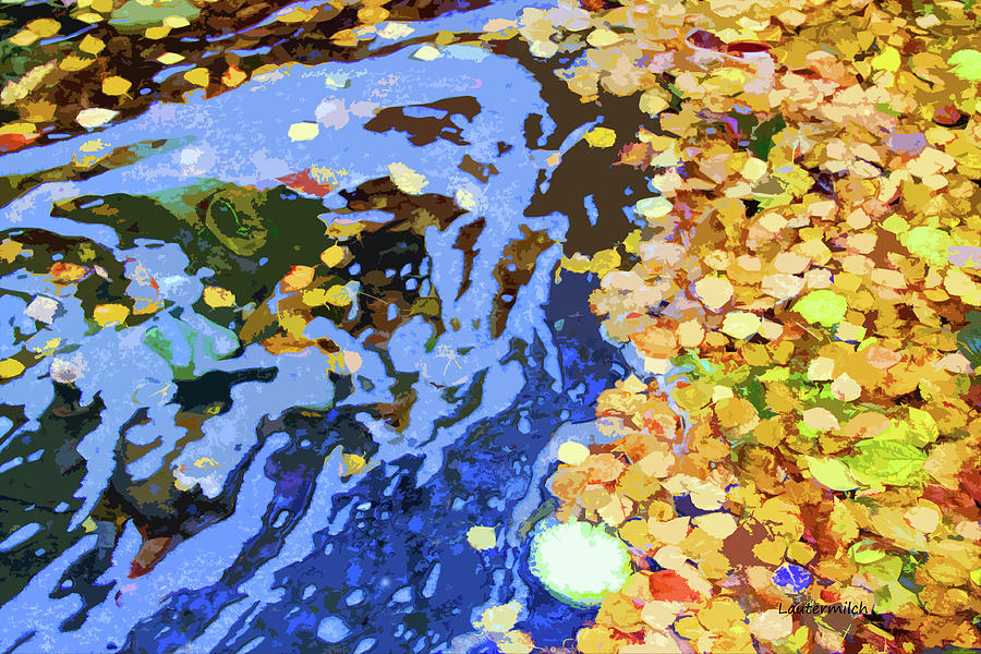 Leaves In Stream Photograph by John Lautermilch