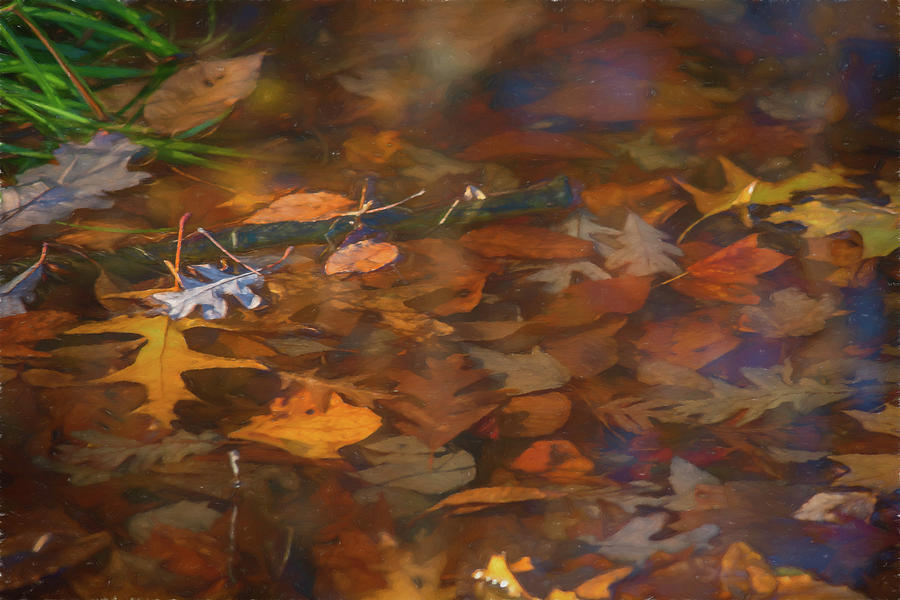 Fall Digital Art - Leaves Leaving  by Jeff Oates