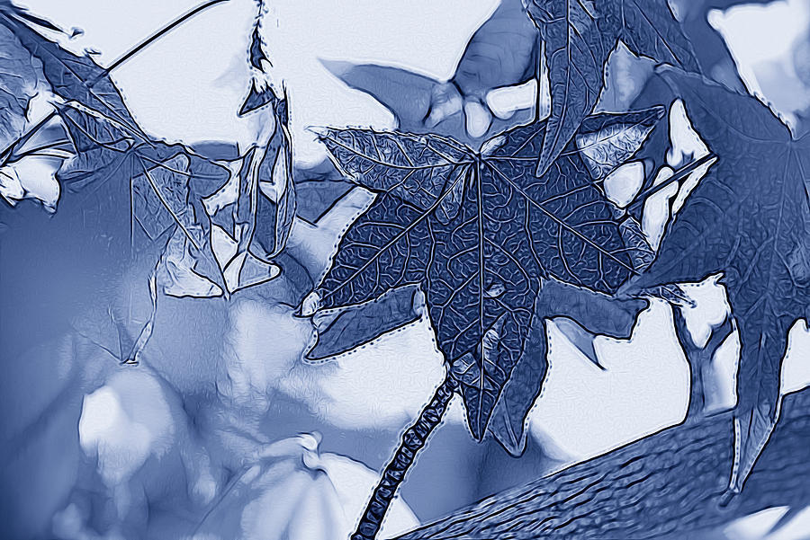 Leaves Macro 1 x  Digital Airbrush Blue Tone Digital Art by Linda Brody