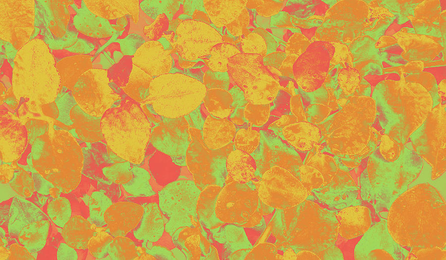 Leaves of Gold and Green by Nareeta Martin Leaves of Gold and Green by Nareeta Martin