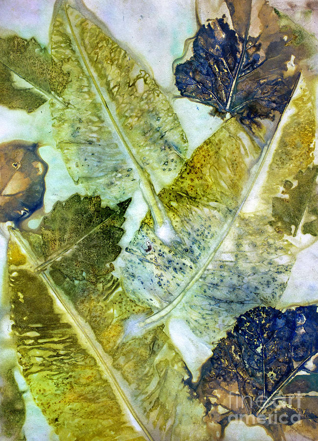 Leaves of Nature Eco Dyed Print by Em Witherspoon Leaves of Nature Eco Dyed Print by Em Witherspoon
