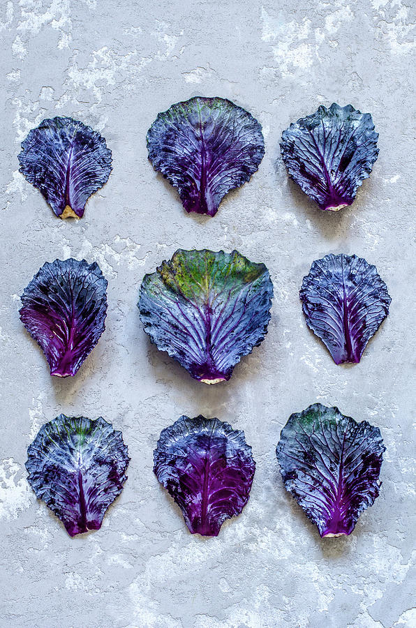 Leaves Of Violet Cabbage On A Concrete Background Photograph by Gorobina