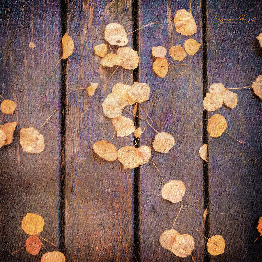 Leaves on Planks by Steve Kelley Leaves on Planks by Steve Kelley