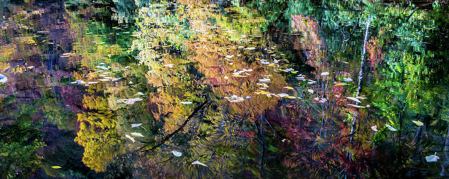 Leaves Reflective Journey by Gary Bond Leaves Reflective Journey by Gary Bond