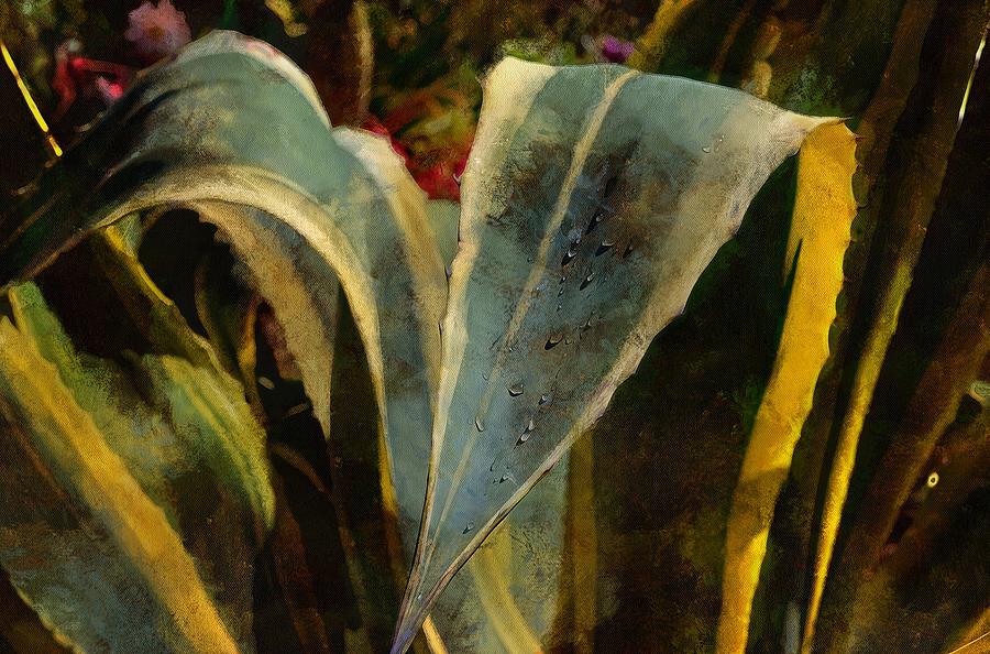 Leaves by Thom Zehrfeld Leaves by Thom Zehrfeld