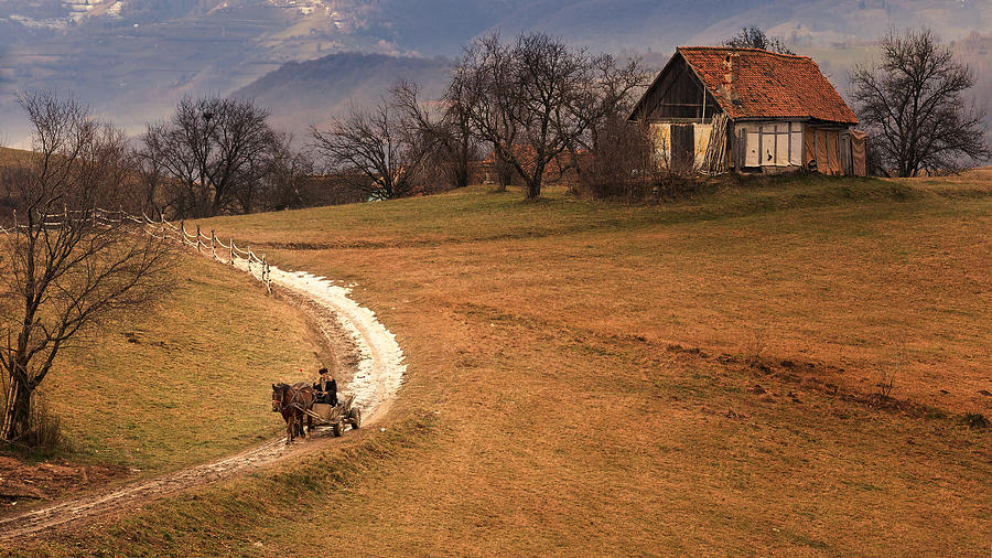 Horse Photograph - Leaving Home by Marius Cintez?