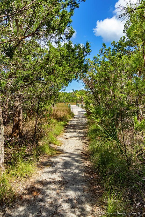 Leaving Nature Island back to the main park area on wide boardwa by Timothy Pinckard Leaving Nature Island back to the main park area on wide boardwa by Timothy Pinckard