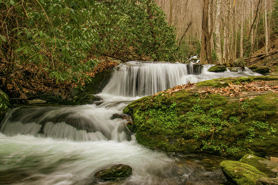 Nature Photograph - Ledbetter Creek 2 by Lisa M Bell