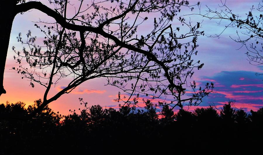 - Lee NH Sunrise Photograph by THERESA Nye