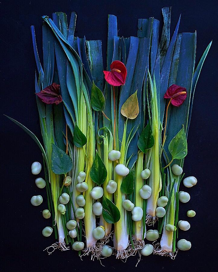 Leeks and Beans by Sarah Phillips Leeks and Beans by Sarah Phillips