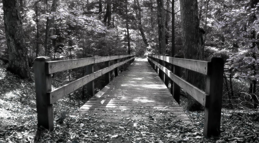 Leelanau Trail by SimplyCMB Leelanau Trail by SimplyCMB