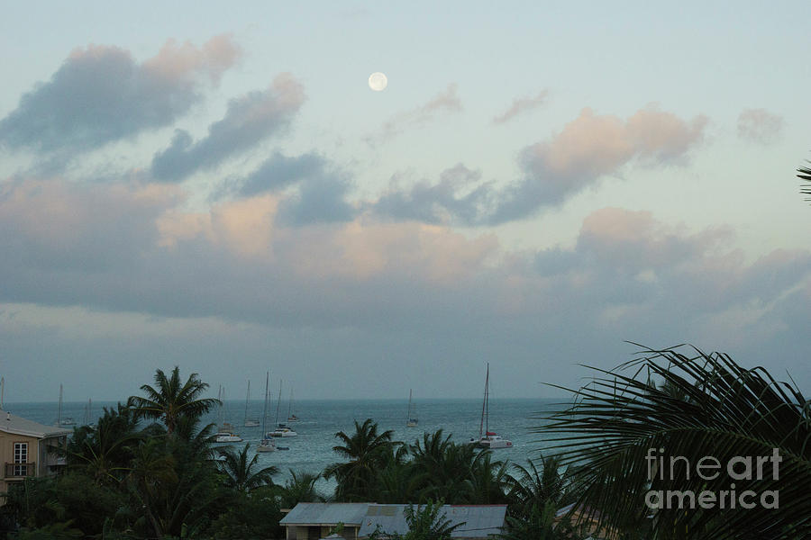 Leeward Moon by Randall Saltys Leeward Moon by Randall Saltys