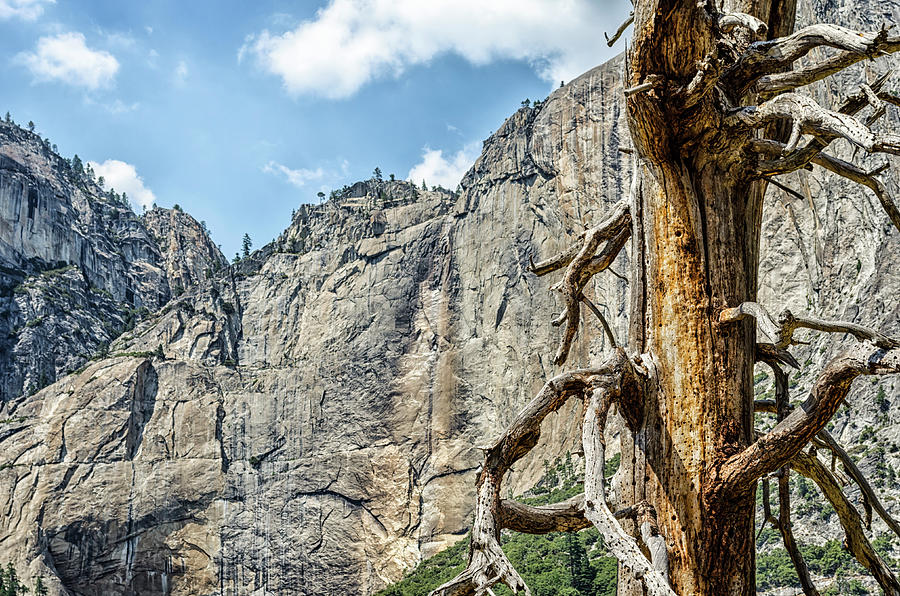 Left A Mark Upper Yosemite Photograph by Joseph S Giacalone