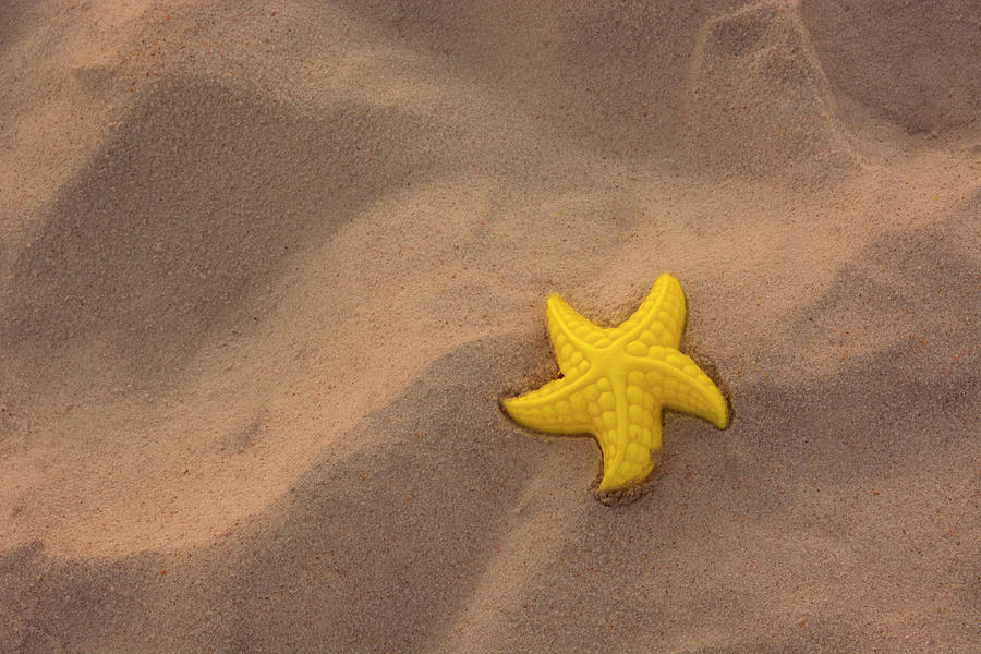 Left Behind - Starfish on the Beach Photograph by Mitch Spence